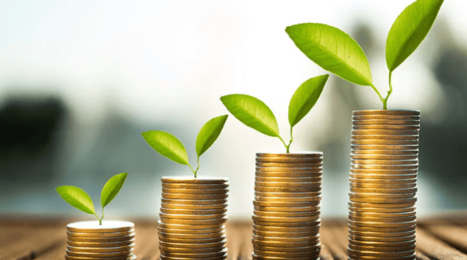 what are segregated funds