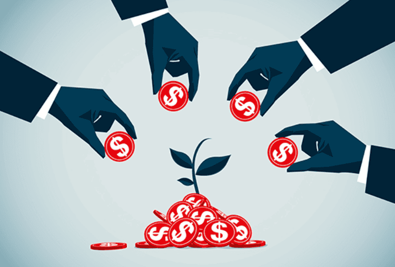 what are segregated funds