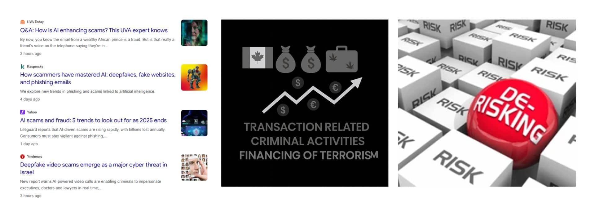 2025 Canada National Risk Assessment on Money Laundering and Terrorist ...